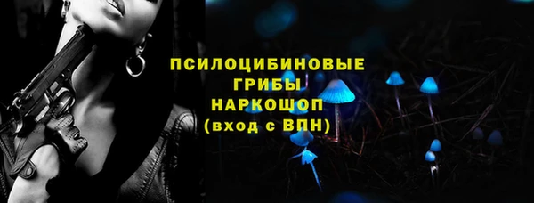 прущий лед Арсеньев
