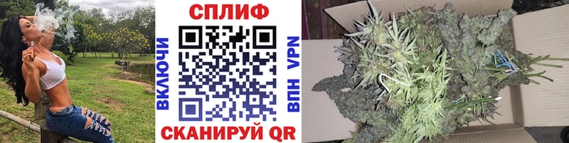 наркота  Тайга  shop какой сайт  Бошки марихуана планчик 